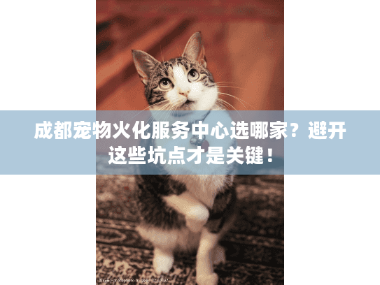 成都宠物火化服务中心选哪家？避开这些坑点才是关键！