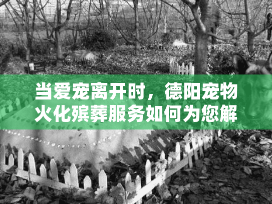 当爱宠离开时,德阳宠物火化殡葬服务如何为您解忧? 当爱宠离开时,德阳宠物火化殡葬服务如何为您解忧?