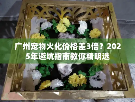 广州宠物火化价格差3倍？2025年避坑指南教你精明选