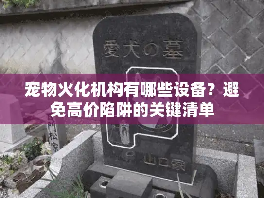 宠物火化机构有哪些设备？避免高价陷阱的关键清单