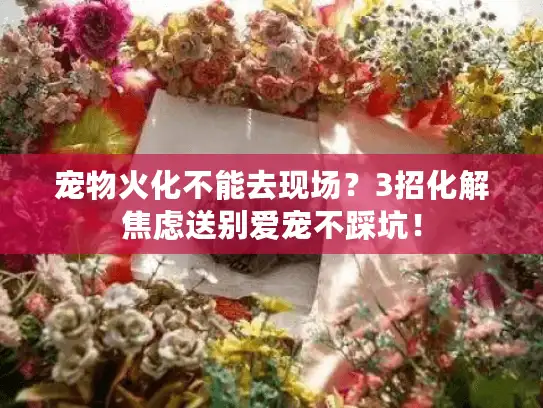 宠物火化不能去现场?3招化解焦虑送别爱宠不踩坑! 宠物火化不能去现场?3招化解焦虑送别爱宠不踩坑!