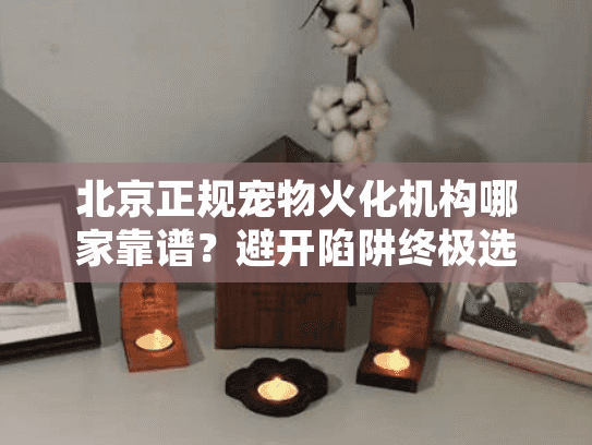 北京正规宠物火化机构哪家靠谱?避开陷阱终极选择秘诀 北京正规宠物火化机构哪家靠谱?避开陷阱终极选择秘诀