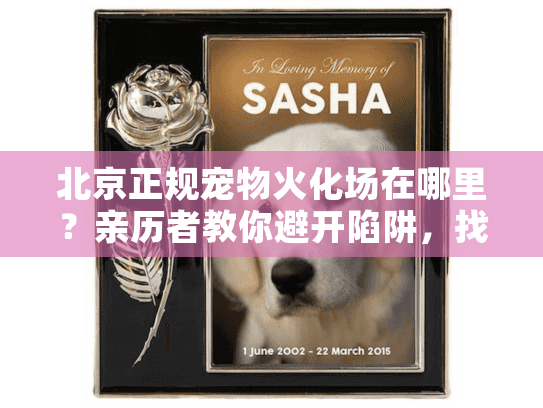 北京正规宠物火化场在哪里？亲历者教你避开陷阱，找到放心告别服务