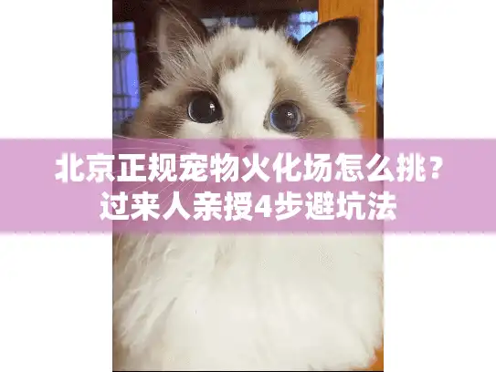 北京正规宠物火化场怎么挑？过来人亲授4步避坑法