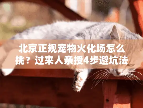 北京正规宠物火化场怎么挑？过来人亲授4步避坑法