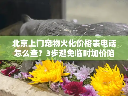 北京上门宠物火化价格表电话怎么查？3步避免临时加价陷阱