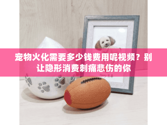 宠物火化需要多少钱费用呢视频？别让隐形消费刺痛悲伤的你