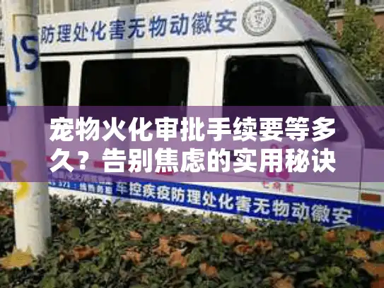 宠物火化审批手续要等多久？告别焦虑的实用秘诀