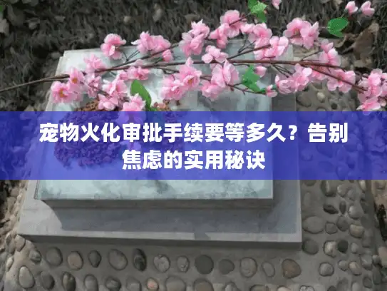 宠物火化审批手续要等多久？告别焦虑的实用秘诀