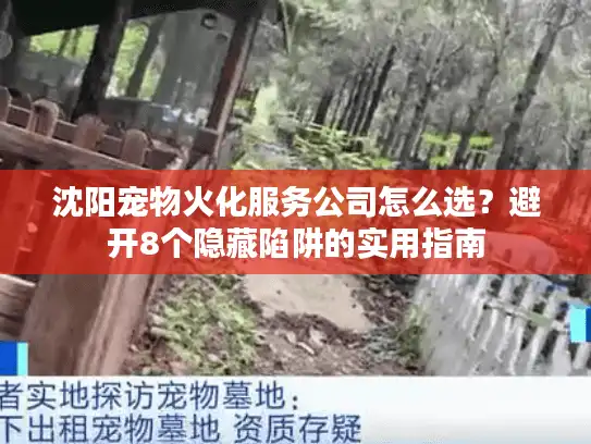 沈阳宠物火化服务公司怎么选？避开8个隐藏陷阱的实用指南