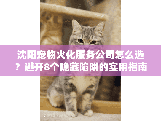 沈阳宠物火化服务公司怎么选？避开8个隐藏陷阱的实用指南