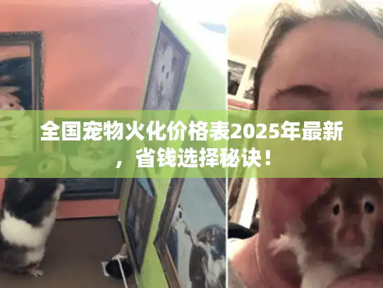 全国宠物火化价格表2025年最新，省钱选择秘诀！