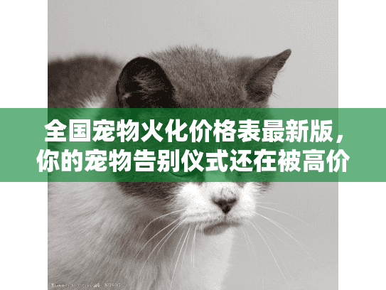 全国宠物火化价格表最新版，你的宠物告别仪式还在被高价套路吗？