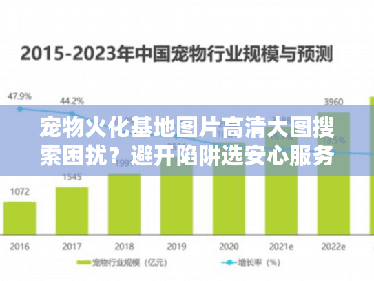 宠物火化基地图片高清大图搜索困扰？避开陷阱选安心服务秘籍