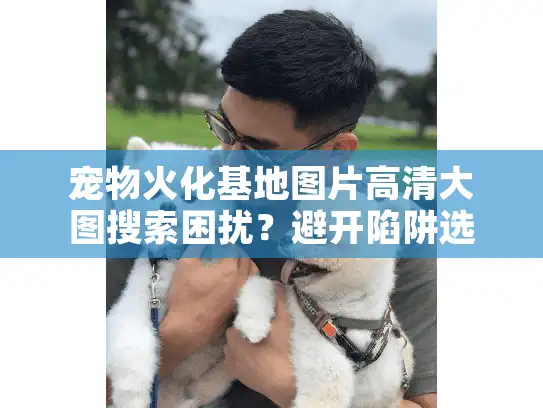 宠物火化基地图片高清大图搜索困扰？避开陷阱选安心服务秘籍