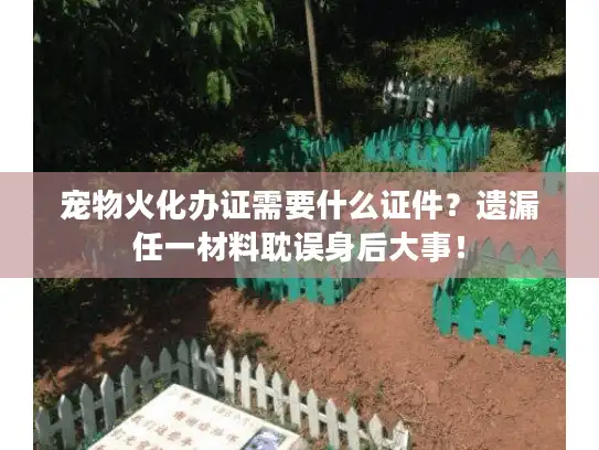 宠物火化办证需要什么证件？遗漏任一材料耽误身后大事！