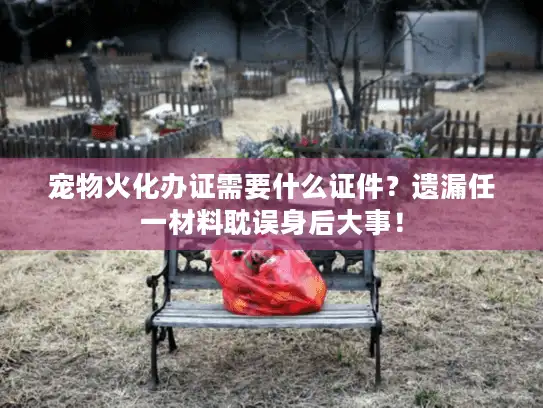 宠物火化办证需要什么证件？遗漏任一材料耽误身后大事！