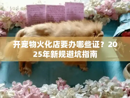 开宠物火化店要办哪些证？2025年新规避坑指南