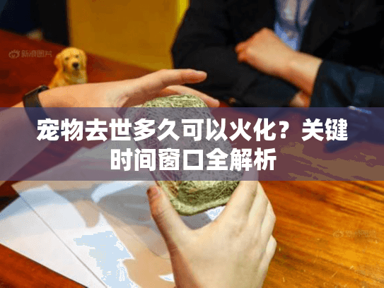 宠物去世多久可以火化？关键时间窗口全解析