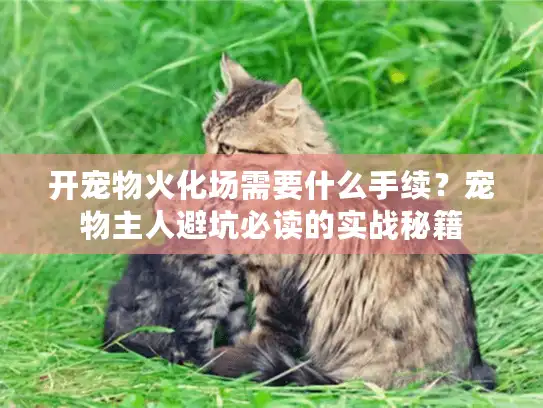 开宠物火化场需要什么手续?宠物主人避坑必读的实战秘籍 开宠物火化场需要什么手续?宠物主人避坑必读的实战秘籍