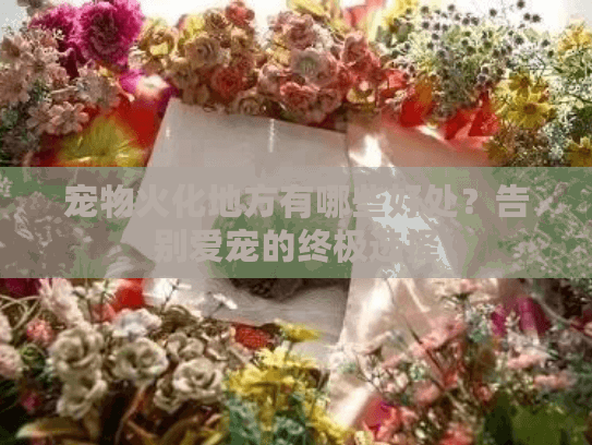 宠物火化地方有哪些好处？告别爱宠的终极选择