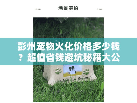 彭州宠物火化价格多少钱？超值省钱避坑秘籍大公开