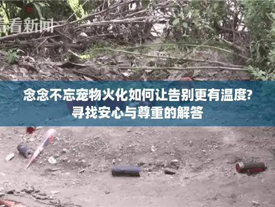 念念不忘宠物火化如何让告别更有温度?寻找安心与尊重的解答