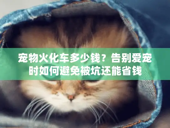 宠物火化车多少钱？告别爱宠时如何避免被坑还能省钱