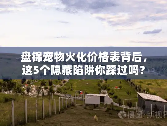 盘锦宠物火化价格表背后，这5个隐藏陷阱你踩过吗？