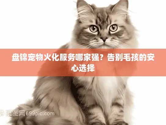 盘锦宠物火化服务哪家强？告别毛孩的安心选择