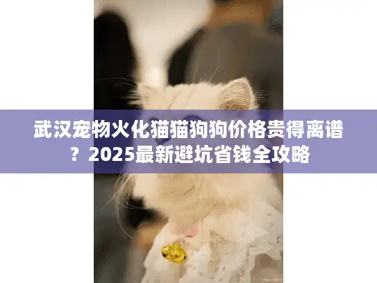 武汉宠物火化猫猫狗狗价格贵得离谱？2025最新避坑省钱全攻略