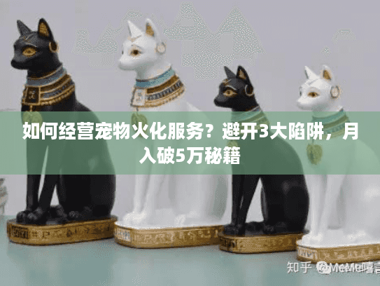 如何经营宠物火化服务?避开3大陷阱,月入破5万秘籍 如何经营宠物火化服务?避开3大陷阱,月入破5万秘籍