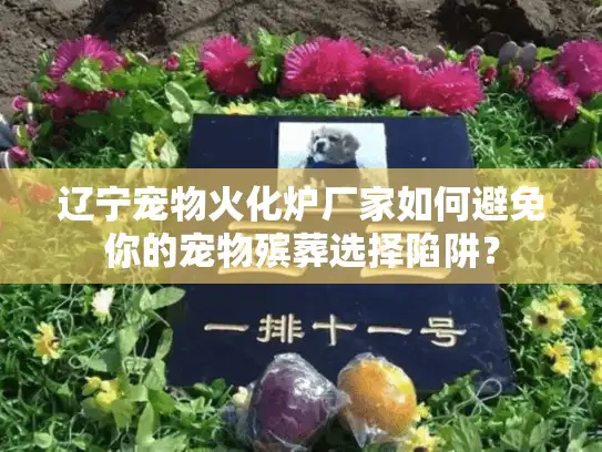 辽宁宠物火化炉厂家如何避免你的宠物殡葬选择陷阱？