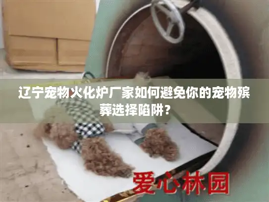 辽宁宠物火化炉厂家如何避免你的宠物殡葬选择陷阱？