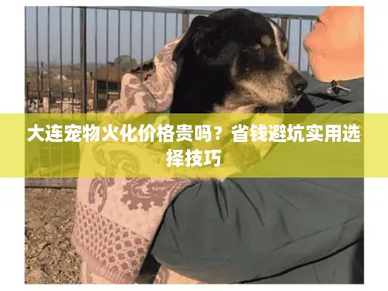 大连宠物火化价格贵吗?省钱避坑实用选择技巧 大连宠物火化价格贵吗?省钱避坑实用选择技巧