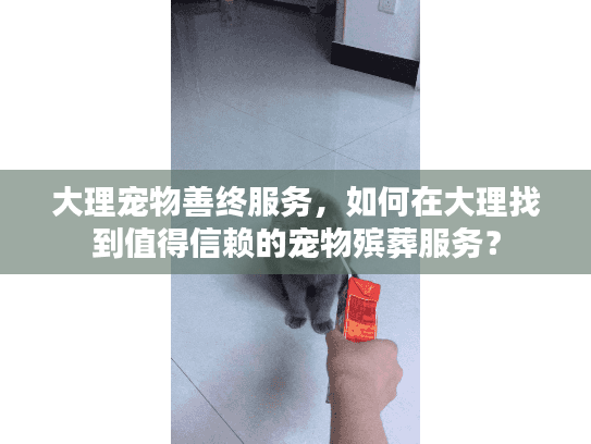 大理宠物善终服务，如何在大理找到值得信赖的宠物殡葬服务？