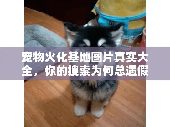 宠物火化基地图片真实大全，你的搜索为何总遇假图陷阱？