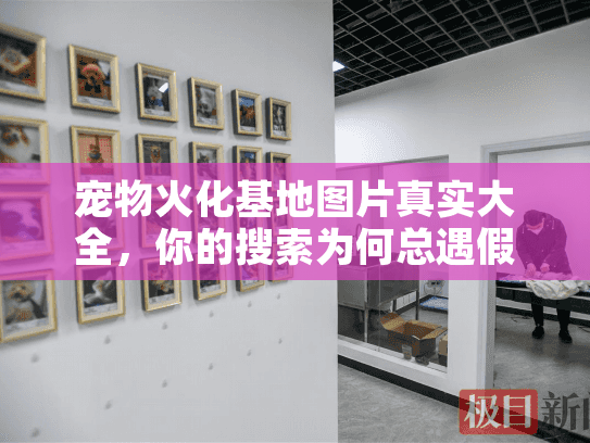 宠物火化基地图片真实大全，你的搜索为何总遇假图陷阱？