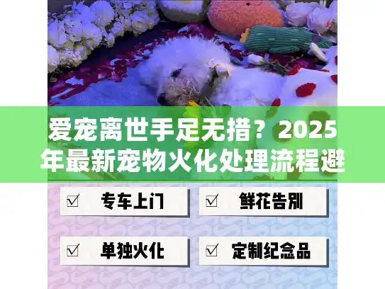 爱宠离世手足无措？2025年最新宠物火化处理流程避坑指南
