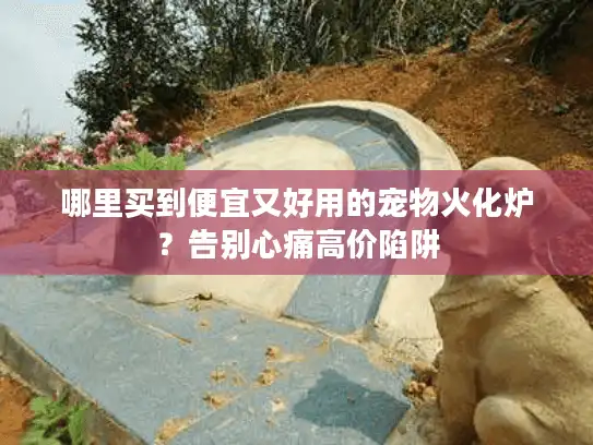 哪里买到便宜又好用的宠物火化炉？告别心痛高价陷阱