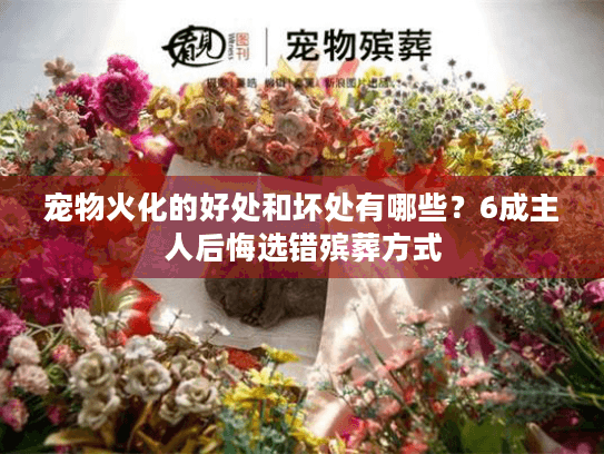 宠物火化的好处和坏处有哪些？6成主人后悔选错殡葬方式