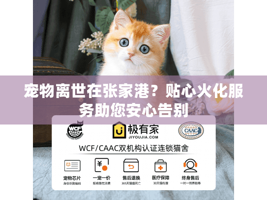宠物离世在张家港？贴心火化服务助您安心告别