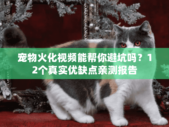 宠物火化视频能帮你避坑吗？12个真实优缺点亲测报告