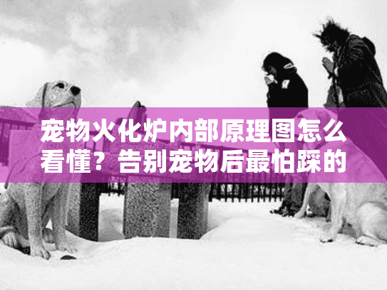 宠物火化炉内部原理图怎么看懂?告别宠物后最怕踩的5个坑 宠物火化炉内部原理图怎么看懂?告别宠物后最怕踩的5个坑