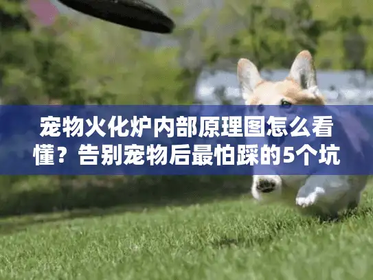宠物火化炉内部原理图怎么看懂?告别宠物后最怕踩的5个坑 宠物火化炉内部原理图怎么看懂?告别宠物后最怕踩的5个坑