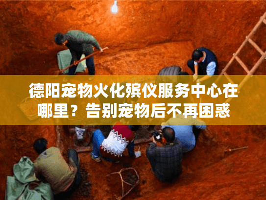 德阳宠物火化殡仪服务中心在哪里？告别宠物后不再困惑