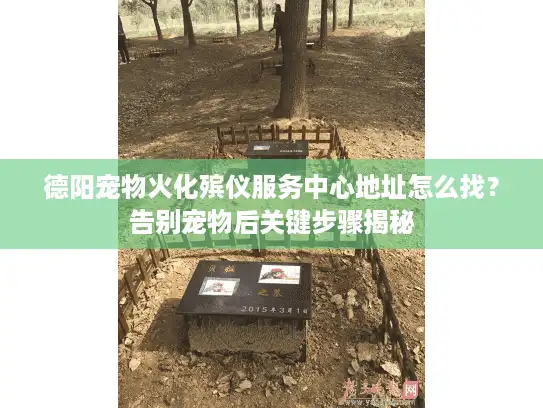 德阳宠物火化殡仪服务中心地址怎么找？告别宠物后关键步骤揭秘