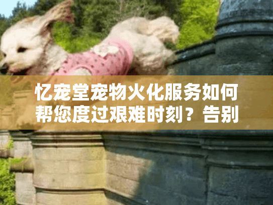 忆宠堂宠物火化服务如何帮您度过艰难时刻?告别有温度 忆宠堂宠物火化服务如何帮您度过艰难时刻?告别有温度