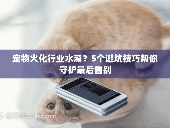 宠物火化行业水深?5个避坑技巧帮你守护最后告别 宠物火化行业水深?5个避坑技巧帮你守护最后告别