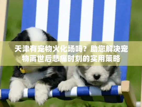 天津有宠物火化场吗？助您解决宠物离世后悲痛时刻的实用策略